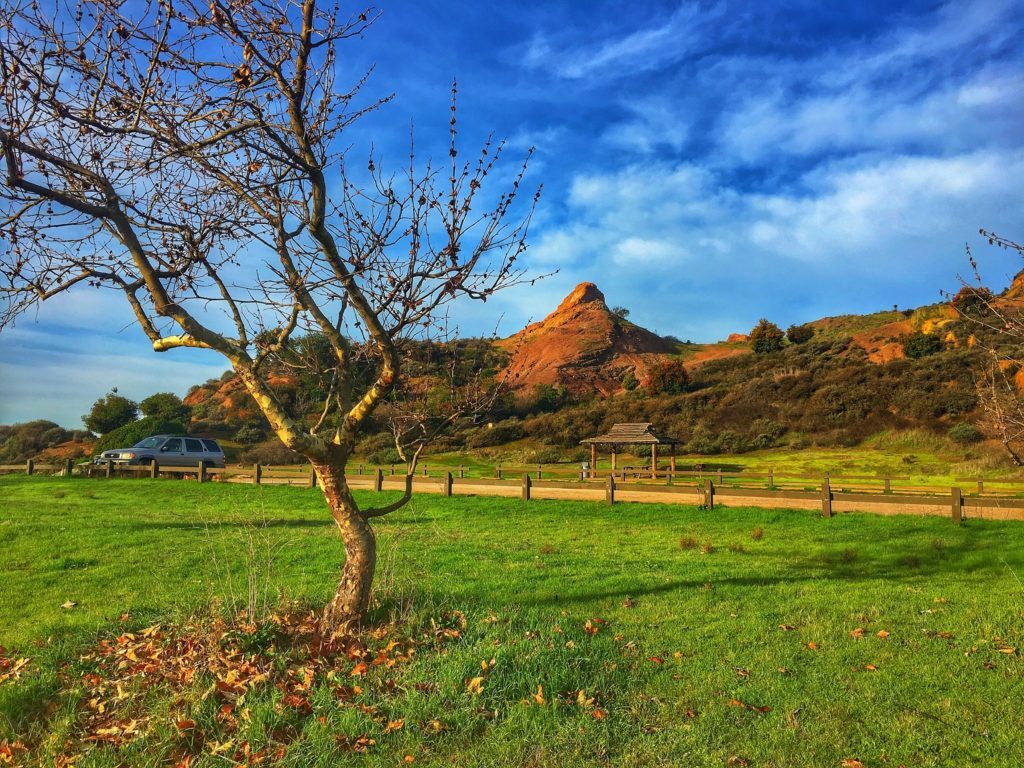 image for guided meditation, Coyote hill park, video blog, guided meditation video, video presentation, sflow.io video presentation, AI video generator