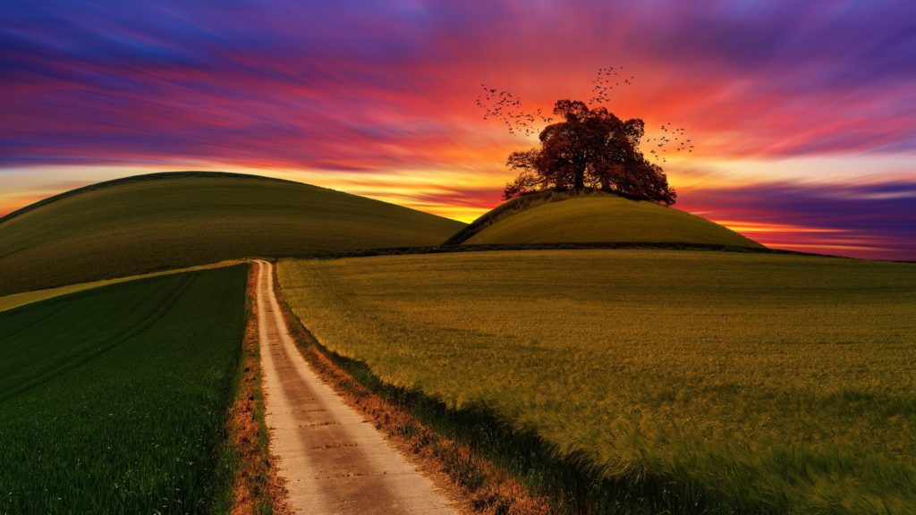 image for guided meditation, Mission Peak, video blog, heavenly peak, video, video presentation, AI video generator