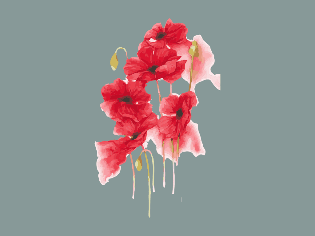 Image of flower, how to create video presentation, AI video blog, video presentation,